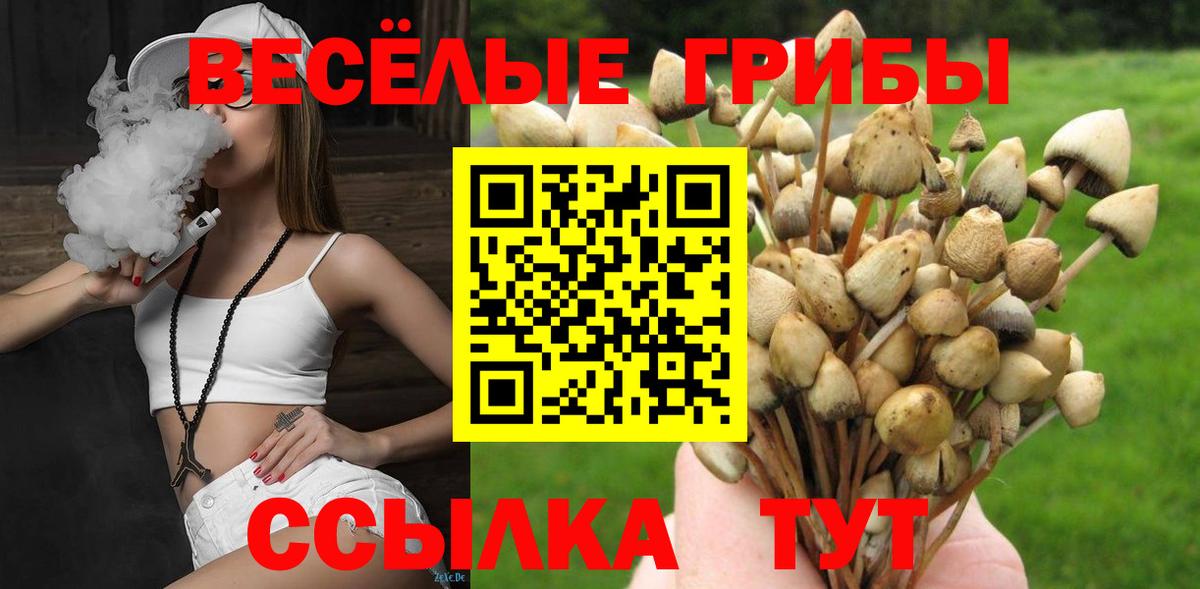Галлюциногенные грибы прущие грибы Зеленокумск